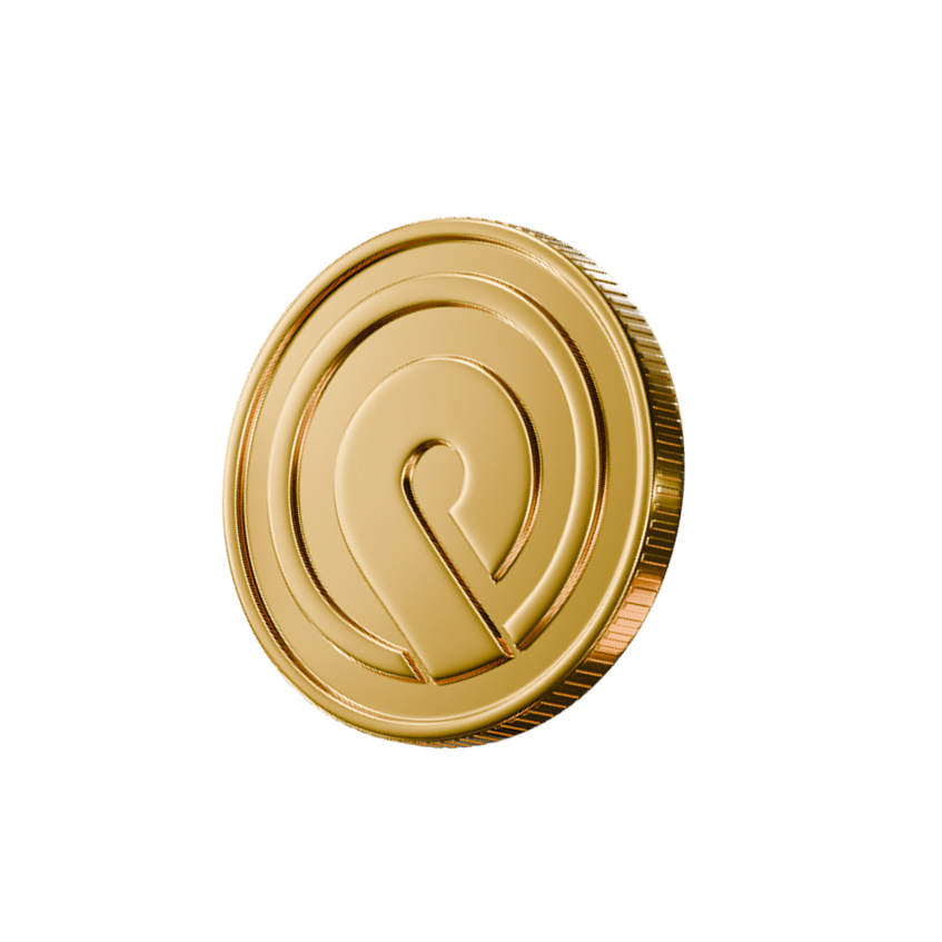 chip