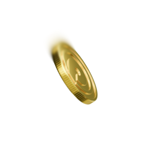 chip
